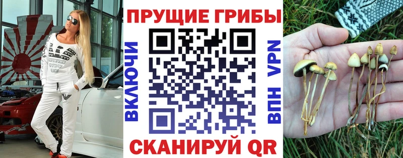 купить наркотики цена  Красноперекопск  MEGA маркетплейс  Псилоцибиновые грибы GOLDEN TEACHER 